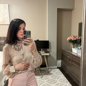 Zara metallic blouse with necktie and rosette